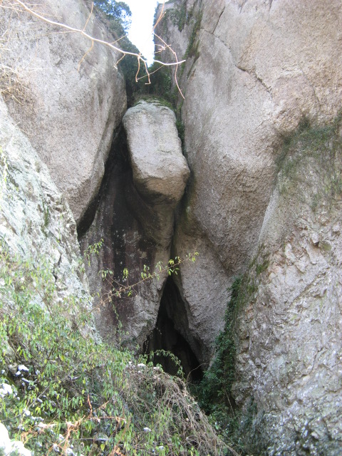 IMG_1006.JPG