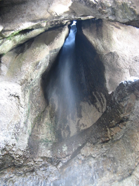 IMG_1100.JPG