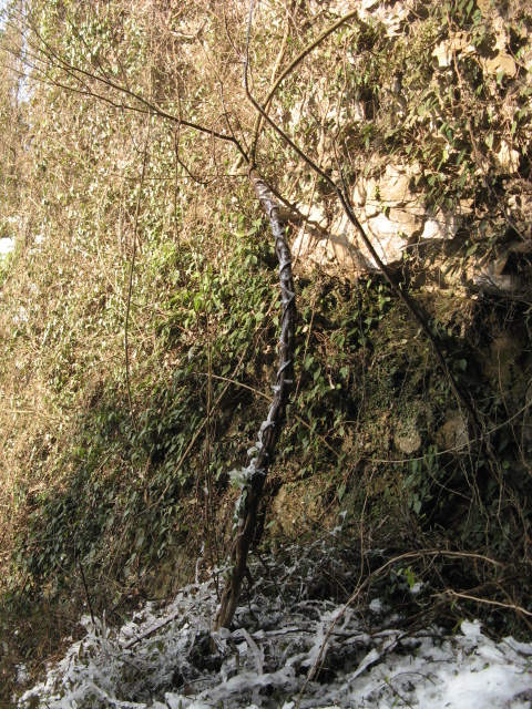 IMG_1040.JPG