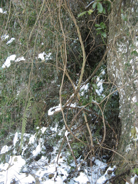 IMG_1054.JPG