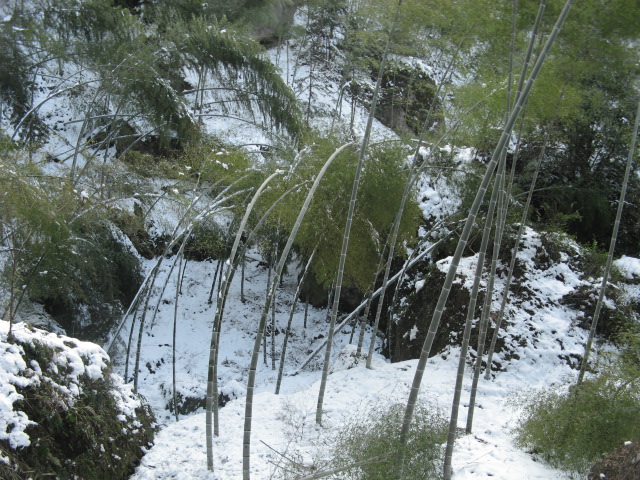 IMG_1147.JPG