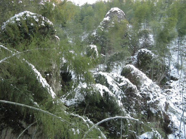 IMG_1154.JPG