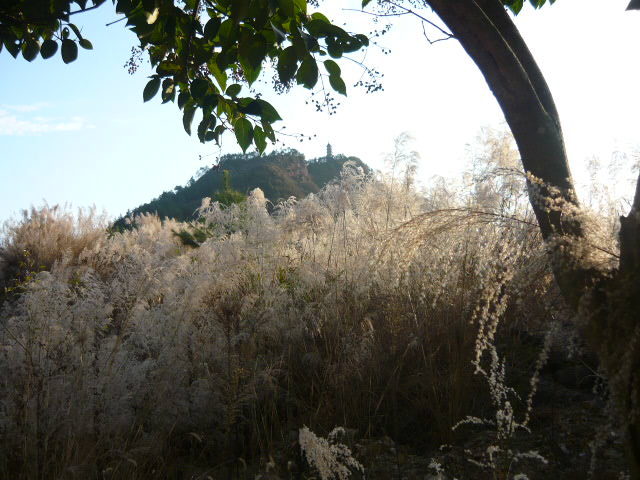 P1050202.JPG