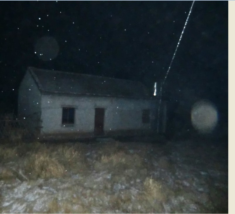 1233.jpg