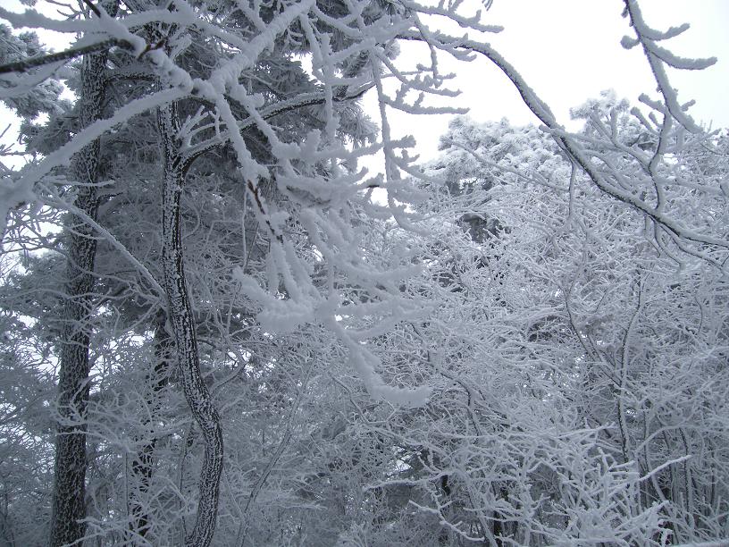 DSCF2528.JPG