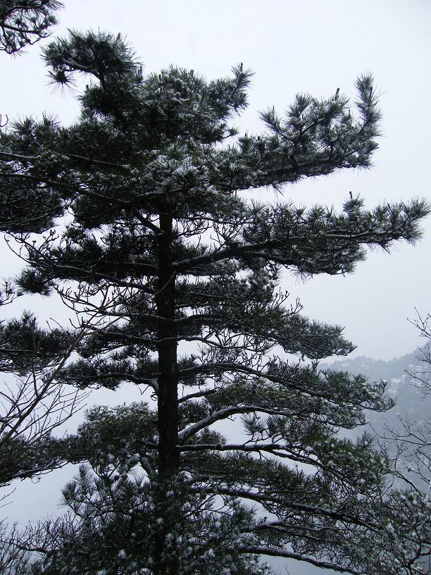 DSCF2378.JPG